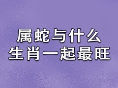 屬蛇與什么生肖一起最旺
